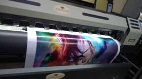 Flex Boards Printing Services